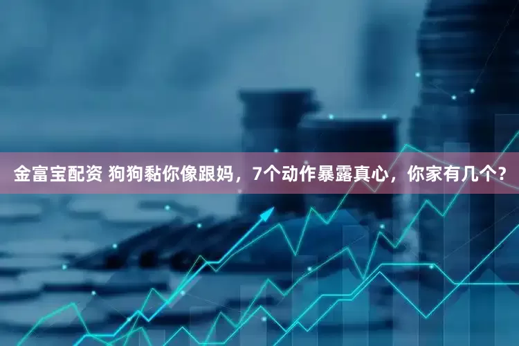 金富宝配资 狗狗黏你像跟妈，7个动作暴露真心，你家有几个？