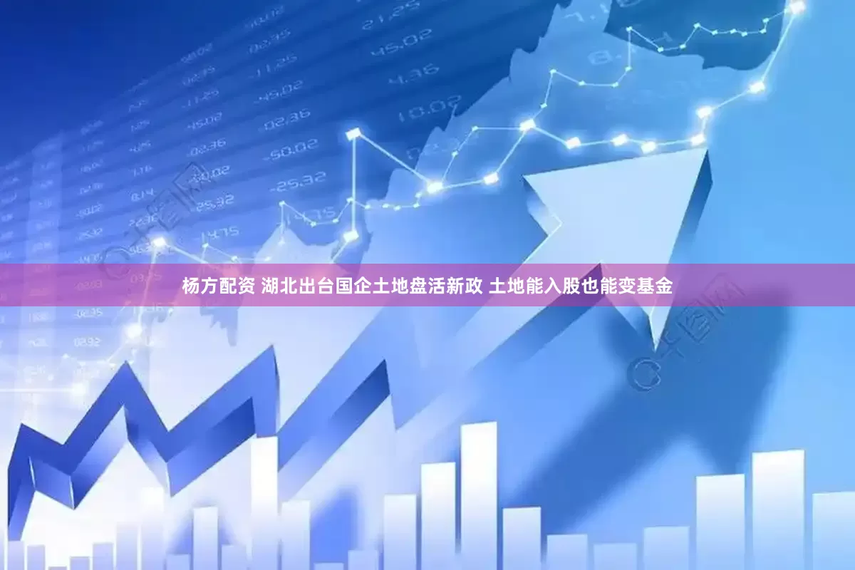 杨方配资 湖北出台国企土地盘活新政 土地能入股也能变基金