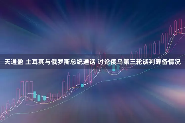 天通盈 土耳其与俄罗斯总统通话 讨论俄乌第三轮谈判筹备情况