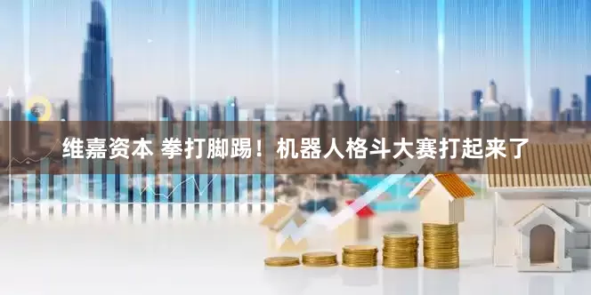 维嘉资本 拳打脚踢！机器人格斗大赛打起来了