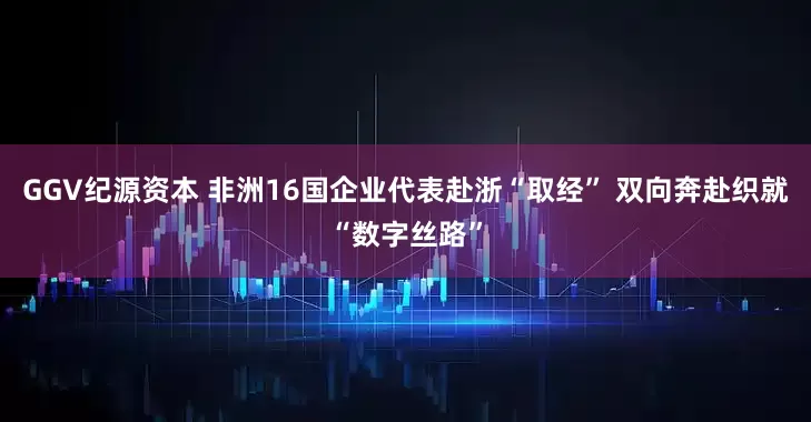 GGV纪源资本 非洲16国企业代表赴浙“取经” 双向奔赴织就“数字丝路”